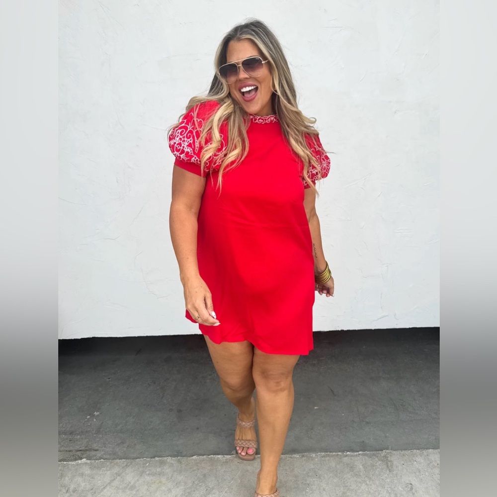 Spring Forward Embroidered Dress